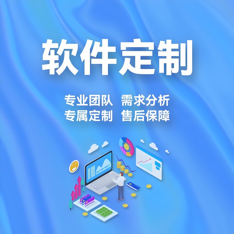 软件定制:打造专属数字蓝图